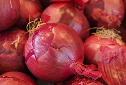 小黑ddos压力测试平台