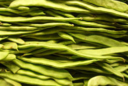 【MAC版】适配的网站攻击软件