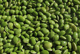 秒发货哪家的DDOS平台