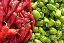 免费ddos平台攻击